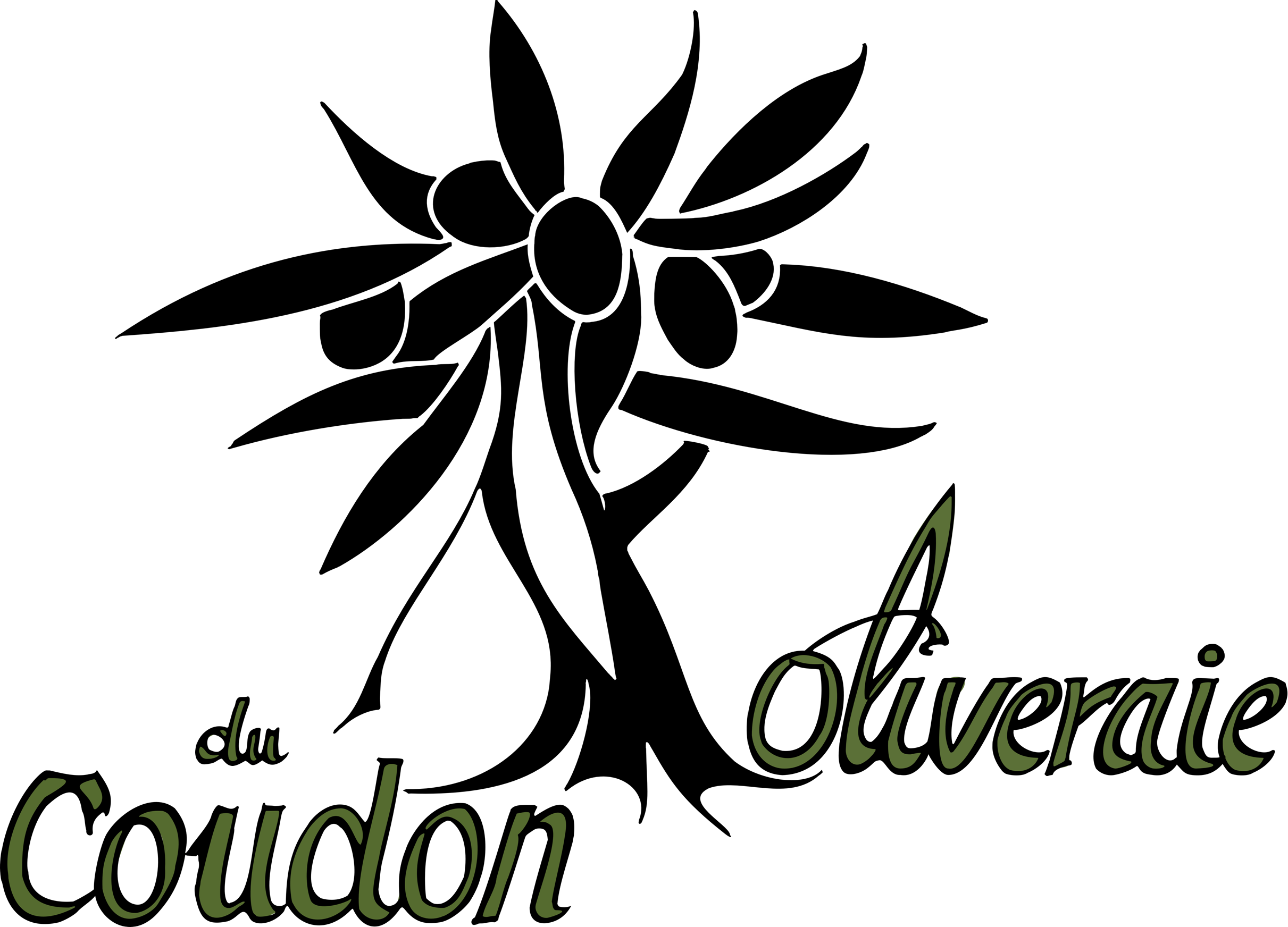 BILLE D'ARGILE - L'oliveraie du Coudon